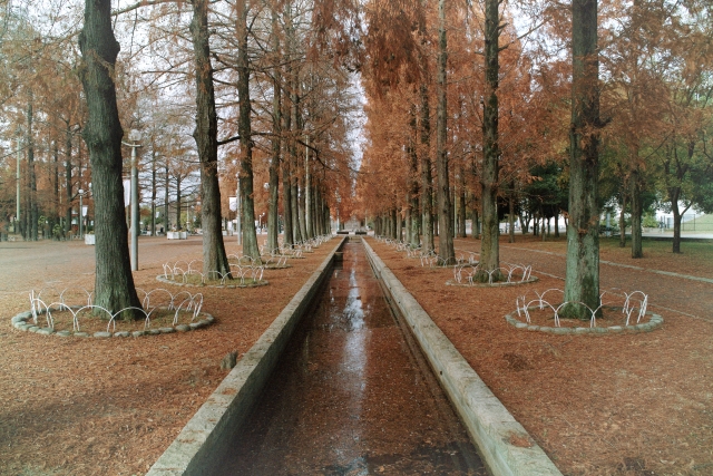 秋の風景