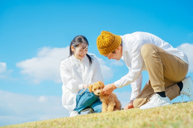 犬を散歩する男女