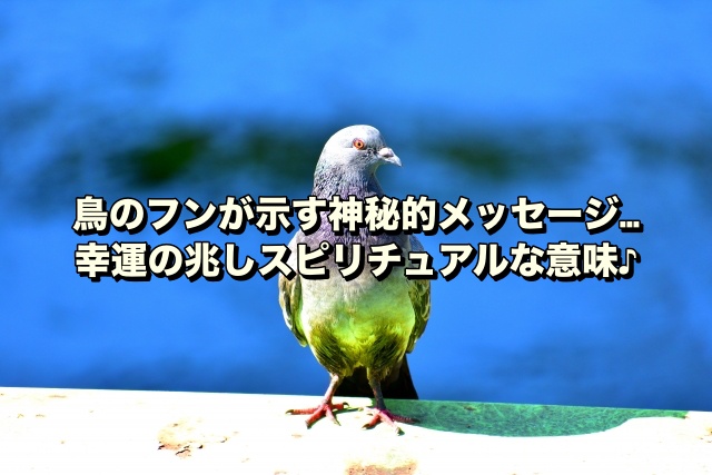 鳥のフンが示す神秘的メッセージ…幸運の兆しスピリチュアルな意味♪