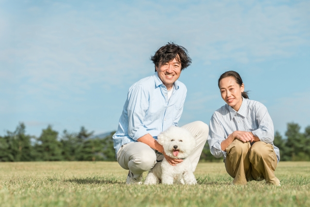 犬を散歩する夫婦